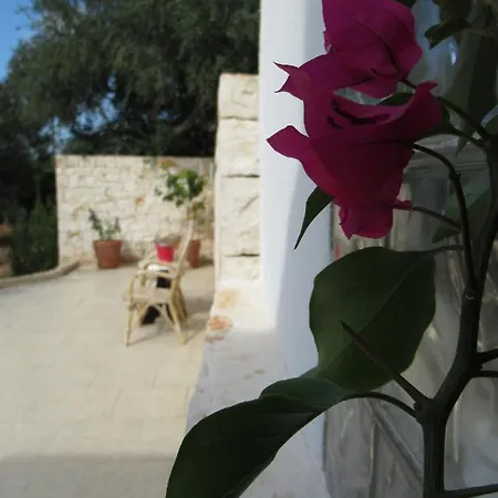 Vakantiehuis Casa Ale & Vinci