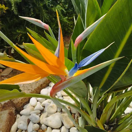 Casa Ale & Vinci Vakantiehuis *