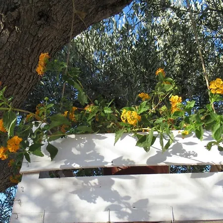 Tatil Evi Casa Ale & Vinci