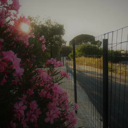 Casa Ale & Vinci Tatil Evi Monopoli