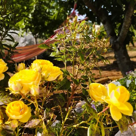 Holiday home Casa Ale & Vinci