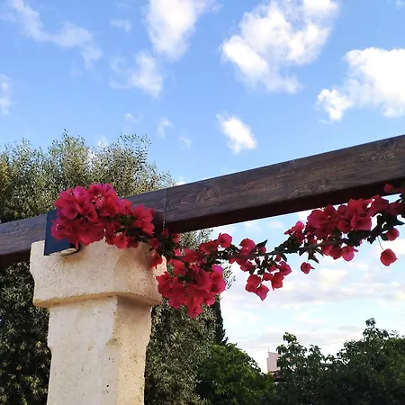 Casa Ale & Vinci Tatil Evi