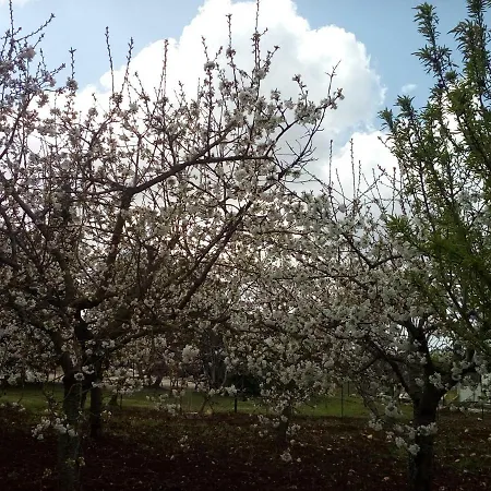 Tatil Evi Casa Ale & Vinci