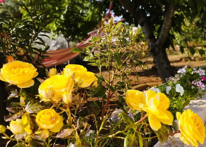 Casa vacanze Casa Ale & Vinci